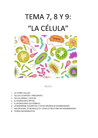 TEMA-7-8-Y-9.pdf