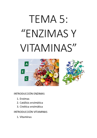 TEMA-5.pdf