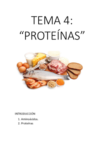 TEMA-4.pdf