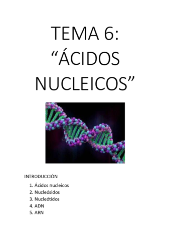 TEMA-6.pdf