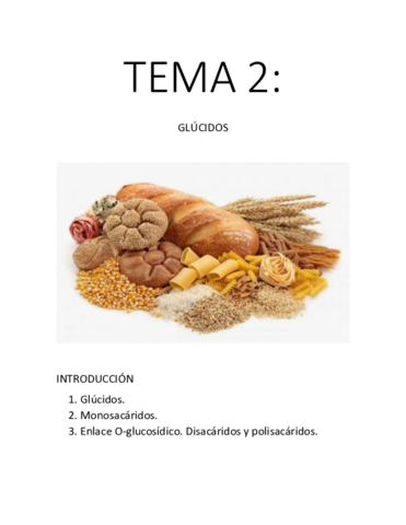 TEMA-2.pdf
