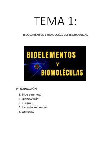 TEMA-1.pdf
