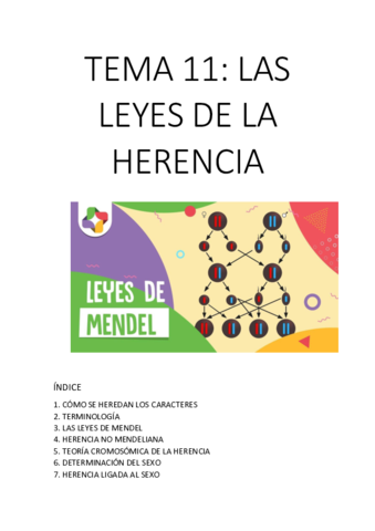 TEMA-11.pdf