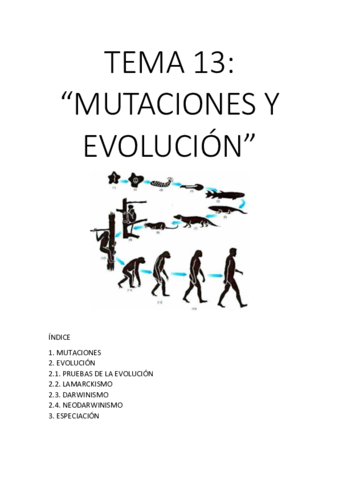 TEMA-13.pdf