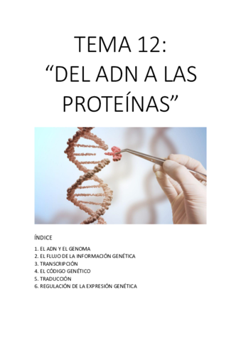 TEMA-12.pdf