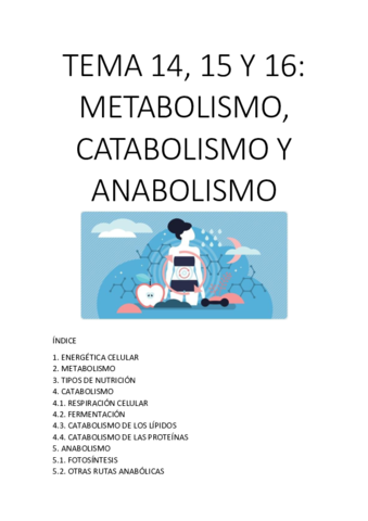 TEMA-14-15-Y-16.pdf