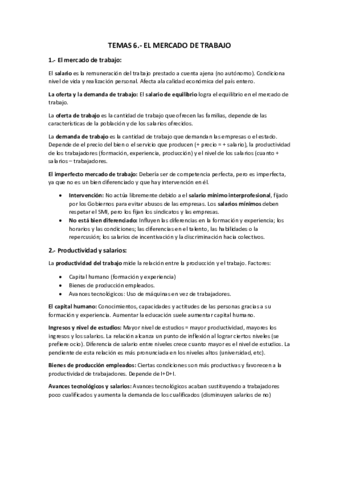 TEMAS-6.pdf