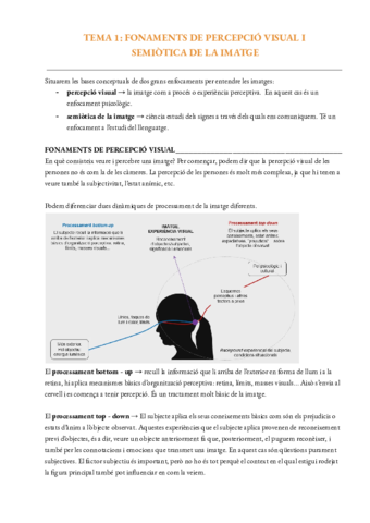 T1-Fonaments-de-percepcio-visual-i-semiotica-de-la-imatge.pdf