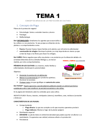 Tema-1-Conceptos-basicos.pdf