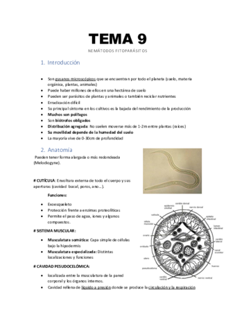 TEMA-9-nematodos-Fitoparasitos-L.pdf