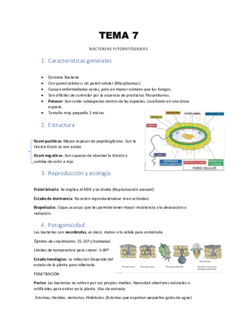 TEMA-7-Bacterias-fitopatogenas.pdf