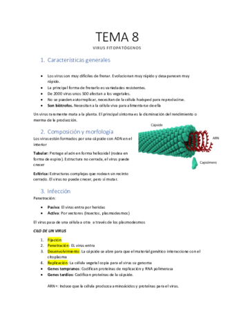 TEMA-8-Virus-fitopatogenos.pdf