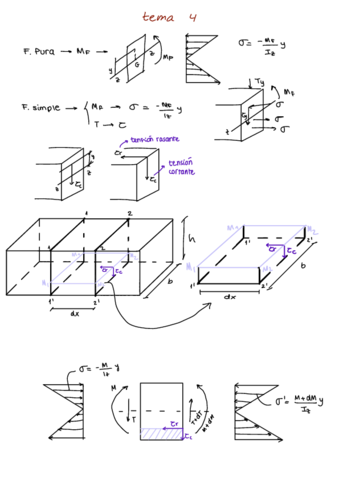 tema4Elasticidad.pdf