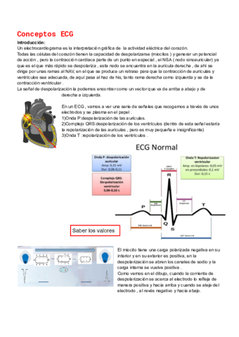 Conceptos-basicos-ECG.pdf