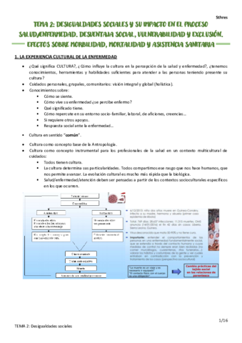 Tema-2-Desigualdades-sociales.pdf