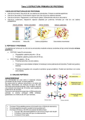 TEMA-3.pdf