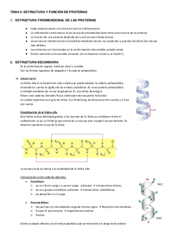 TEMA-2.pdf