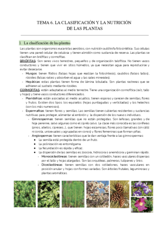 Tema-6.pdf