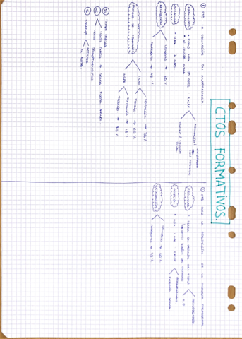 ESQUEMA-CONTRATOS-FORMATIVOS-.pdf