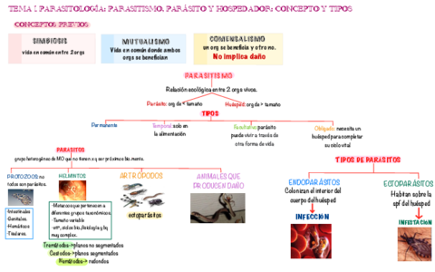 ESQUEMAS-TEMA-1-PARASITOLOGIA.pdf