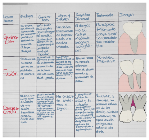 Cuadro-descriptivo.pdf