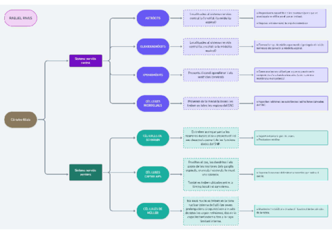 Teixits-del-cos-huma.pdf