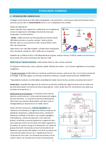 Bloque-I.pdf