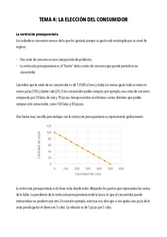 TEMA-4-ECO.pdf