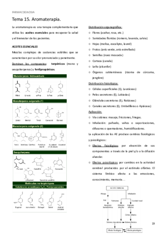 Tema-15.pdf
