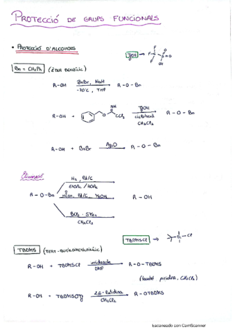 Proteccio-de-grups-funcionals.pdf