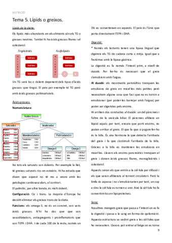 TEMA-5.pdf