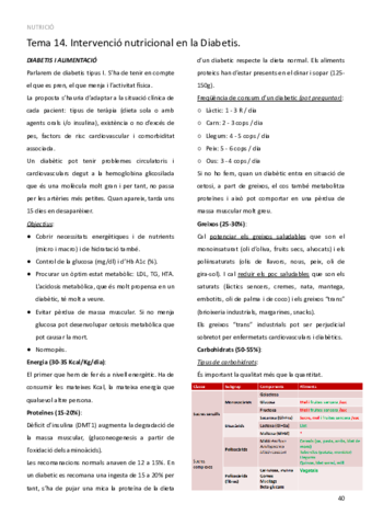 TEMA-14.pdf