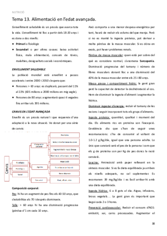 TEMA-13.pdf