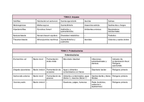 Esquema.pdf