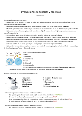 EVALUACIONES-SEMINARIOS.pdf