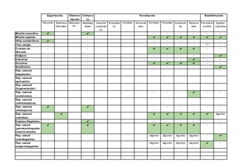 Tabla-hongos.pdf
