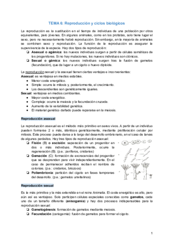 TEMA-6-Reproduccion-y-ciclos-biologicos.pdf