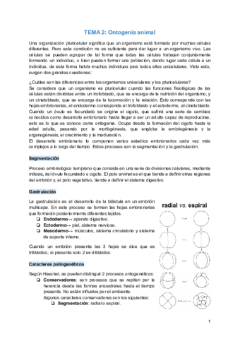 TEMA-2-Ontogenia-animal.pdf