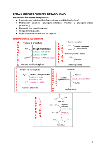 TEMA-9-INTEGRACION-DEL-METABOLISMO.pdf