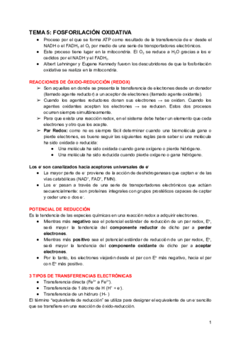 TEMA-5-FOSFORILACION-OXIDATIVA-Y-FOTOSINTESIS.pdf