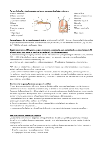 POSIBLES-PREGUNTAS-.pdf