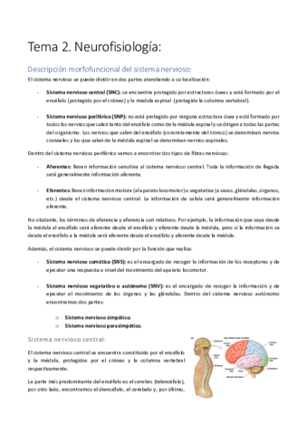 Tema-2.pdf