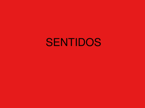 Sentidos.pdf