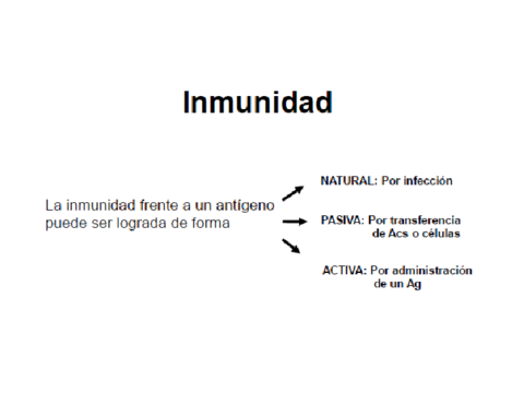 Memoria-y-Vacunas.pdf