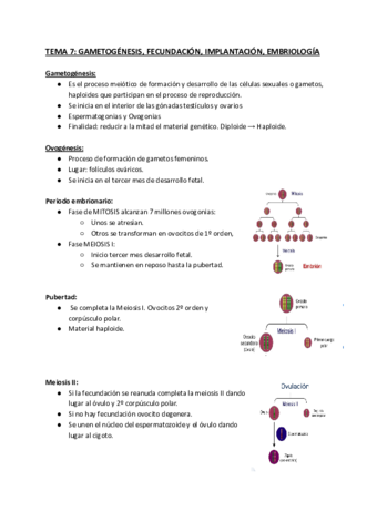 TEMA-7.pdf