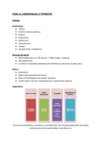 TEMA-13-HEMORRAGIAS-1o-TRIMESTRE.pdf