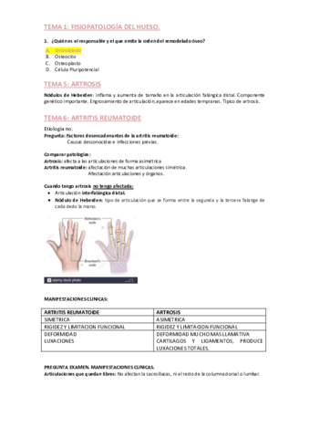 Preguntas-Examenes.pdf