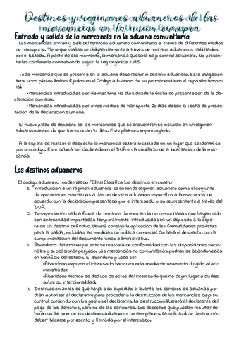 Tema-6-destino-y-regimen-aduanero-de-las-mercacias-en-la-union-europea.pdf