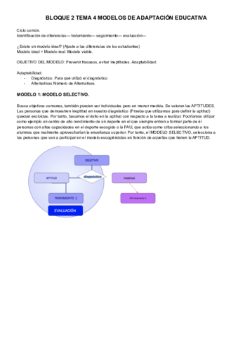 BLOQUE-2-TEMA-4-MODELOS-DE-ADAPTACION-EDUCATIVA.pdf