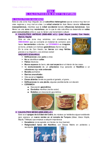 TEMA-4-PREHISTORIA-2.pdf